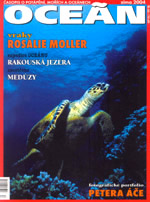 Oceán Rosalie Moller 2004